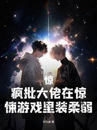 一胎双宝总裁大人请温柔最新章节